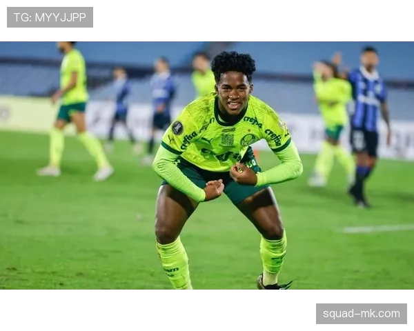 恩德里克帕尔梅拉斯时期表现解析 恩德里克帕尔梅拉斯时期表现解析