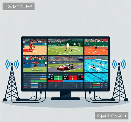 我们的竞争优势